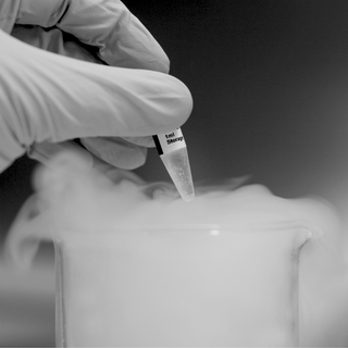 Grammenos international funeral services